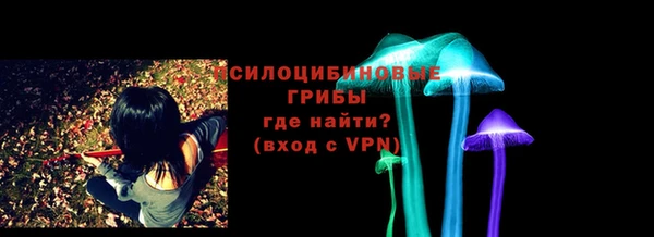 прущий лед Богородск