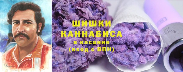 сатива Богданович