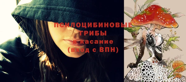 сатива Богданович