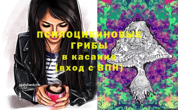 сатива Богданович