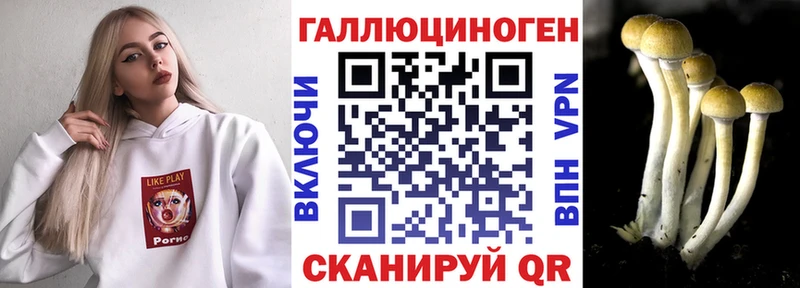 Галлюциногенные грибы прущие грибы  где продают   Ульяновск 